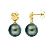 14K Tahitian Pearl Earrings - XOXO