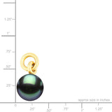 14K Tahitian Pearl Pendant - Pauʻole