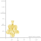 14K Plumeria Pendant - Wild 14mm