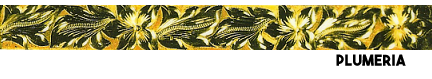 eng-order-scroll-002.png